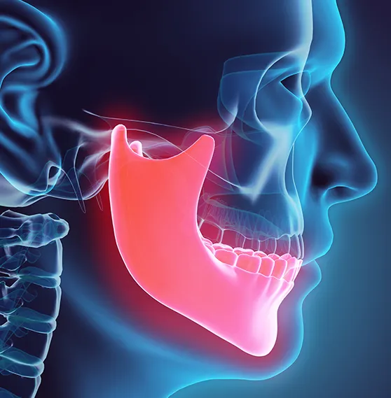 3D medical illustration of the temporomandibular joint (TMJ) highlighting the jaw area in red to indicate pain or dysfunction.